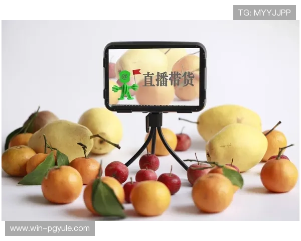 新手指南：如何快速上手PA平台官网